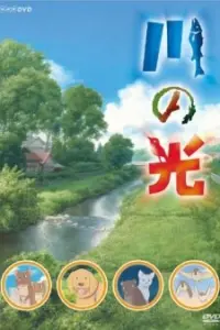 Речной свет